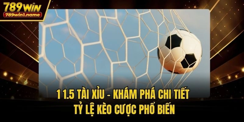 1 1.5 Tài Xỉu – Khám Phá Chi Tiết Tỷ Lệ Kèo Cược Phổ Biến