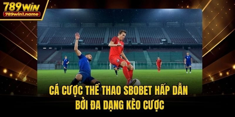 Cá cược thể thao SBOBET hấp dẫn bởi đa dạng kèo cược
