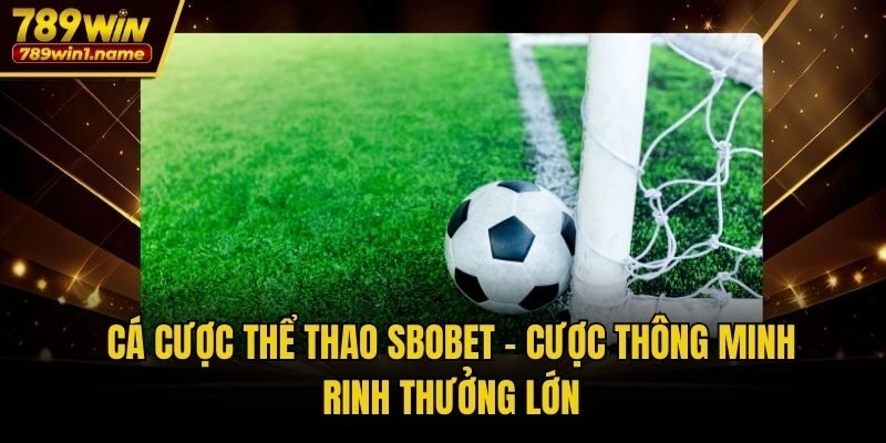 Cá Cược Thể Thao SBOBET – Cược Thông Minh, Rinh Thưởng Lớn