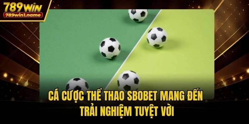 Cá cược thể thao SBOBET mang đến trải nghiệm tuyệt vời