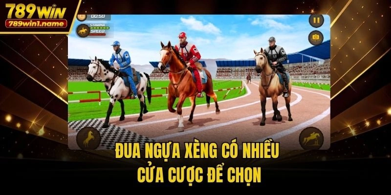 Đua ngựa xèng có nhiều cửa cược để chọn