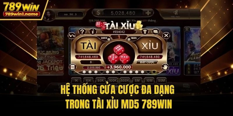 Hệ thống cửa cược đa dạng trong Tài Xỉu MD5 789win