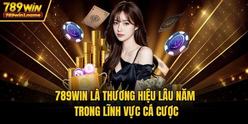 789win là thương hiệu lâu năm trong lĩnh vực cá cược