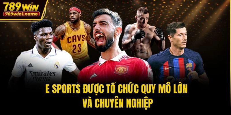 E sports được tổ chức quy mô lớn và chuyên nghiệp