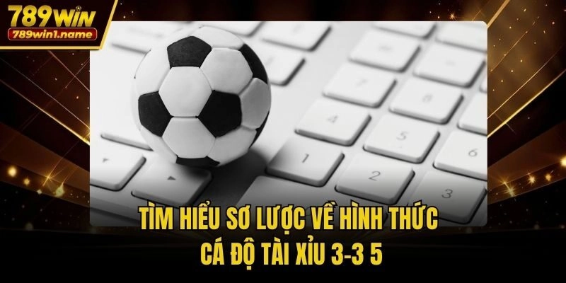 Tìm hiểu sơ lược về hình thức cá độ tài xỉu 3-3 5