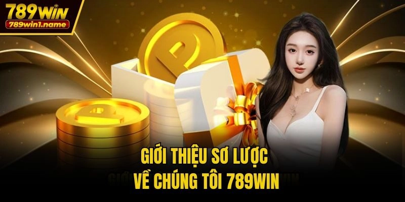 Giới thiệu sơ lược về chúng tôi 789win